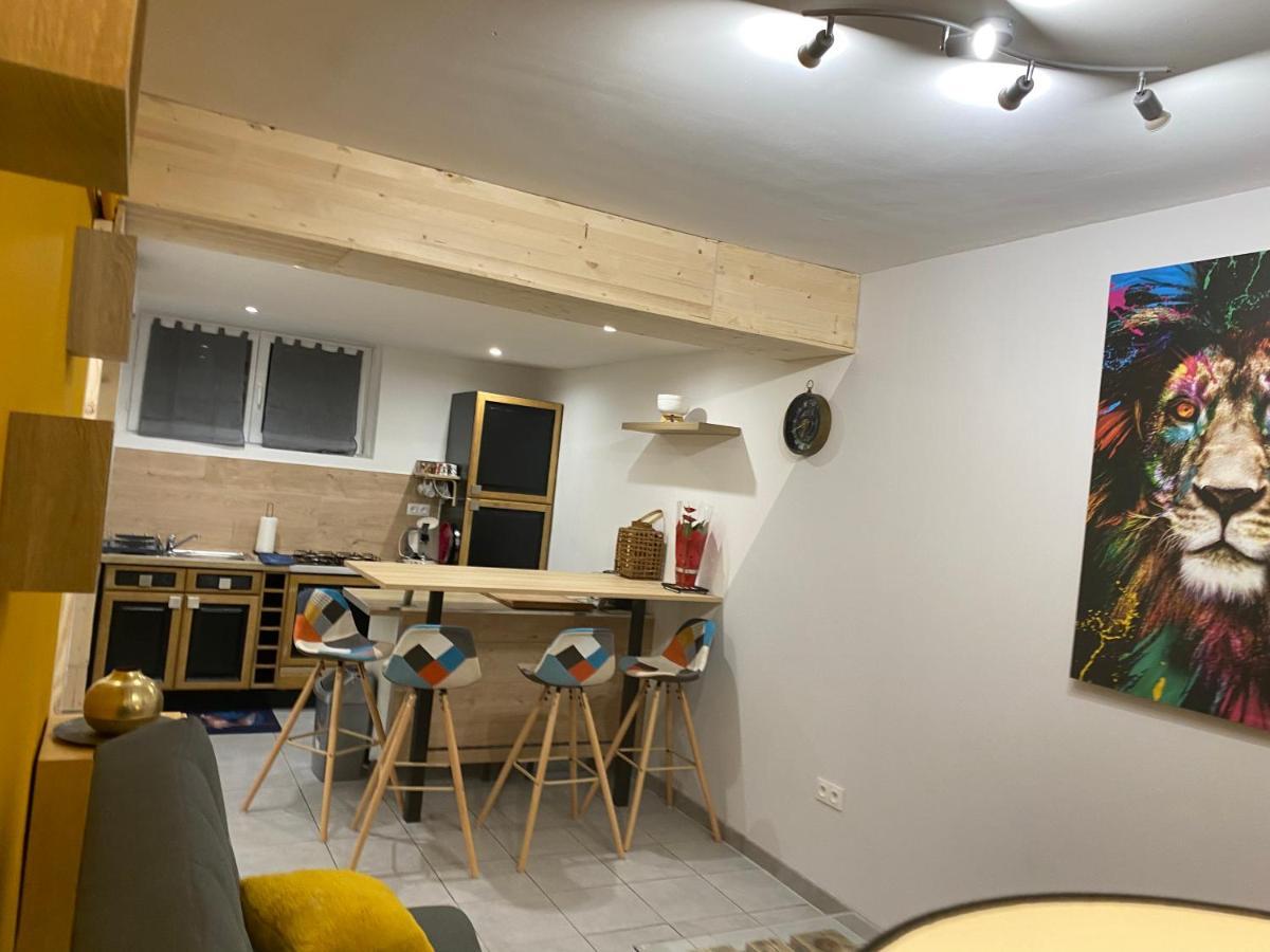 Studio 40M2 Plein Pied Avec Parking Jussac Zewnętrze zdjęcie